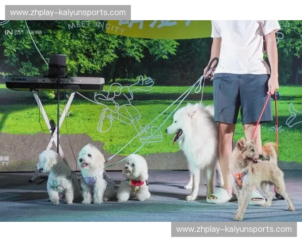 西班牙队赛程:激情连连,追随斗牛士的每一步